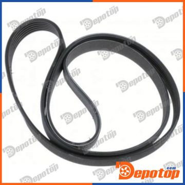 Jeu de courroies trapézoïdales pour MERCEDES | DAYCO 6DPK2217